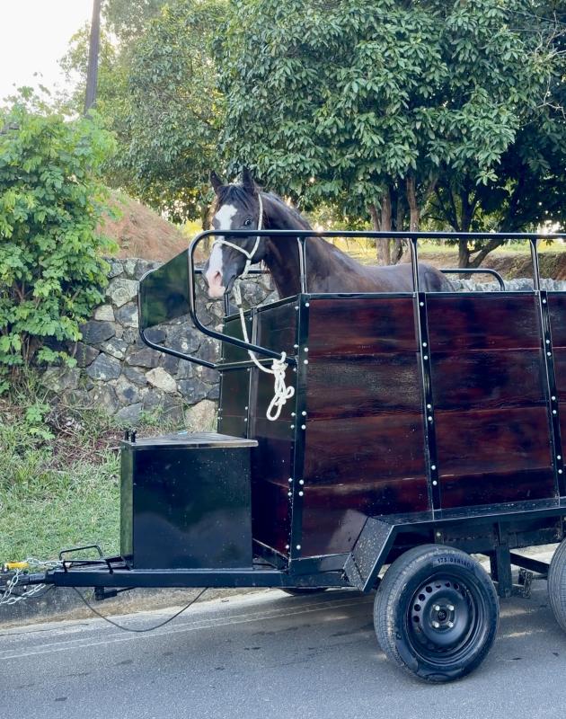 S10 LTZ + KIT VAQUEIRO GARANHÃO E TREILER