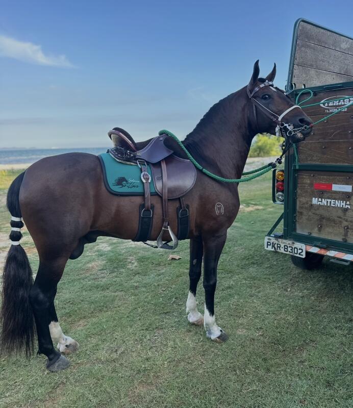 RASTRO DO  MONTEIRO🐎✨