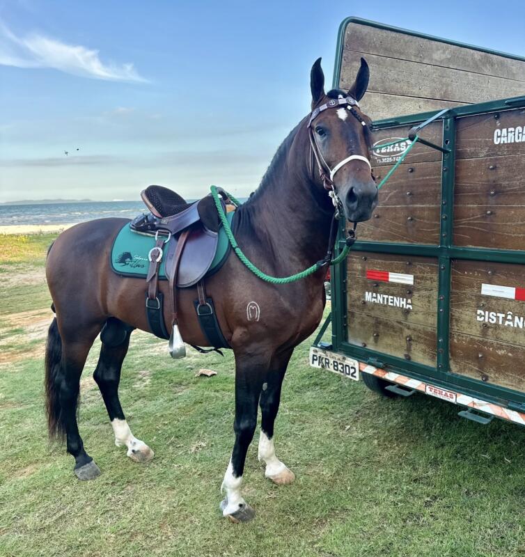 RASTRO DO  MONTEIRO🐎✨